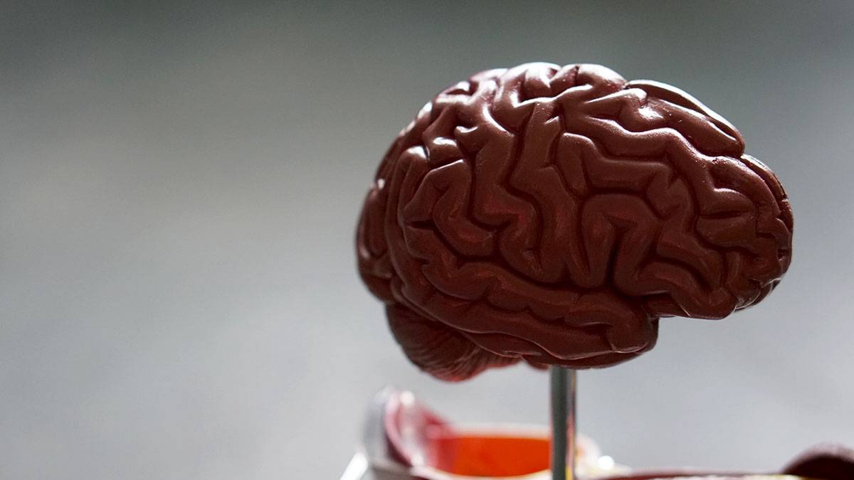 NEJM: Ученые совершили прорыв в лечении агрессивного рака мозга