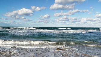 FT: ОАЭ заявили о готовности применить флот в Ормузском проливе