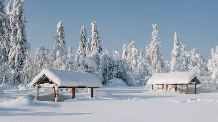 Красота рядом