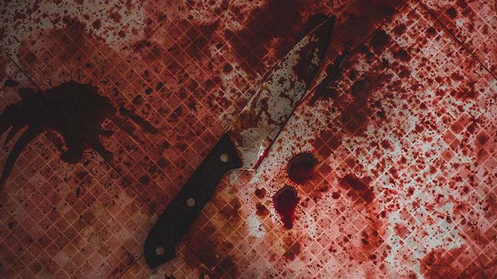 Жительница Шатуры зарезала возлюбленного во время встречи с друзьями