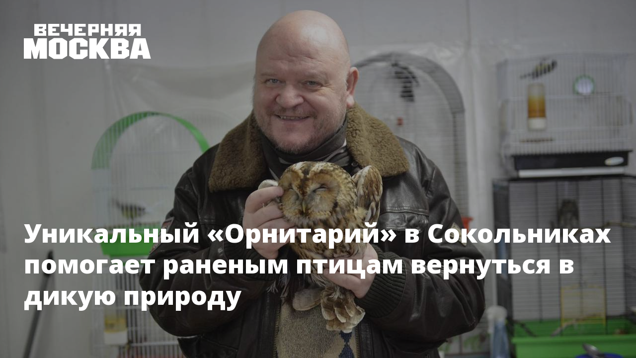 Уникальный «Орнитарий» в Сокольниках помогает раненым птицам вернуться в  дикую природу