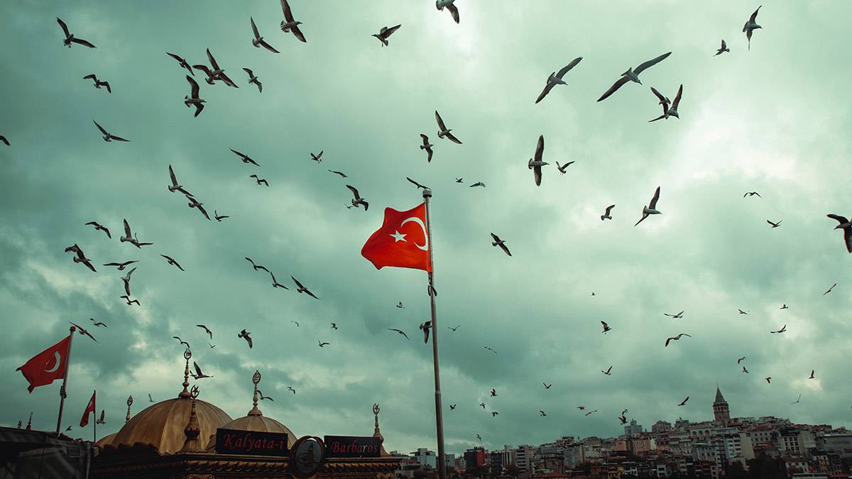 Число жертв землетрясения в Турции увеличилось до 1014
