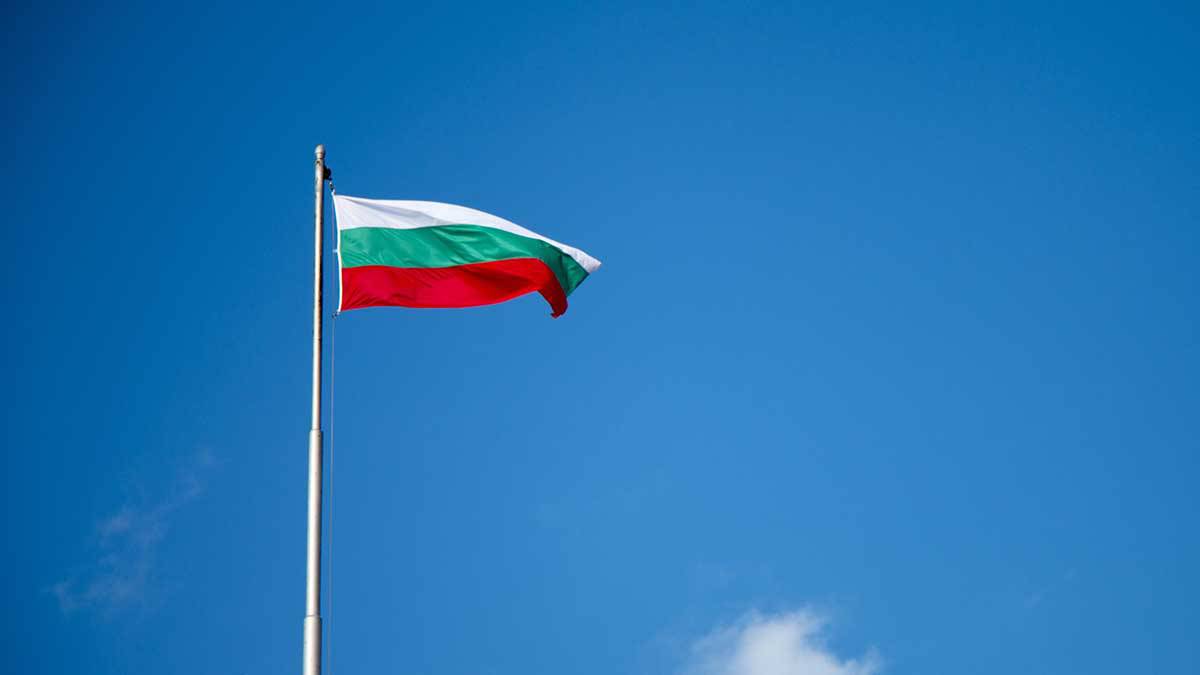 В Болгарии потребовали отказаться платить России неустойки по газовому контракту