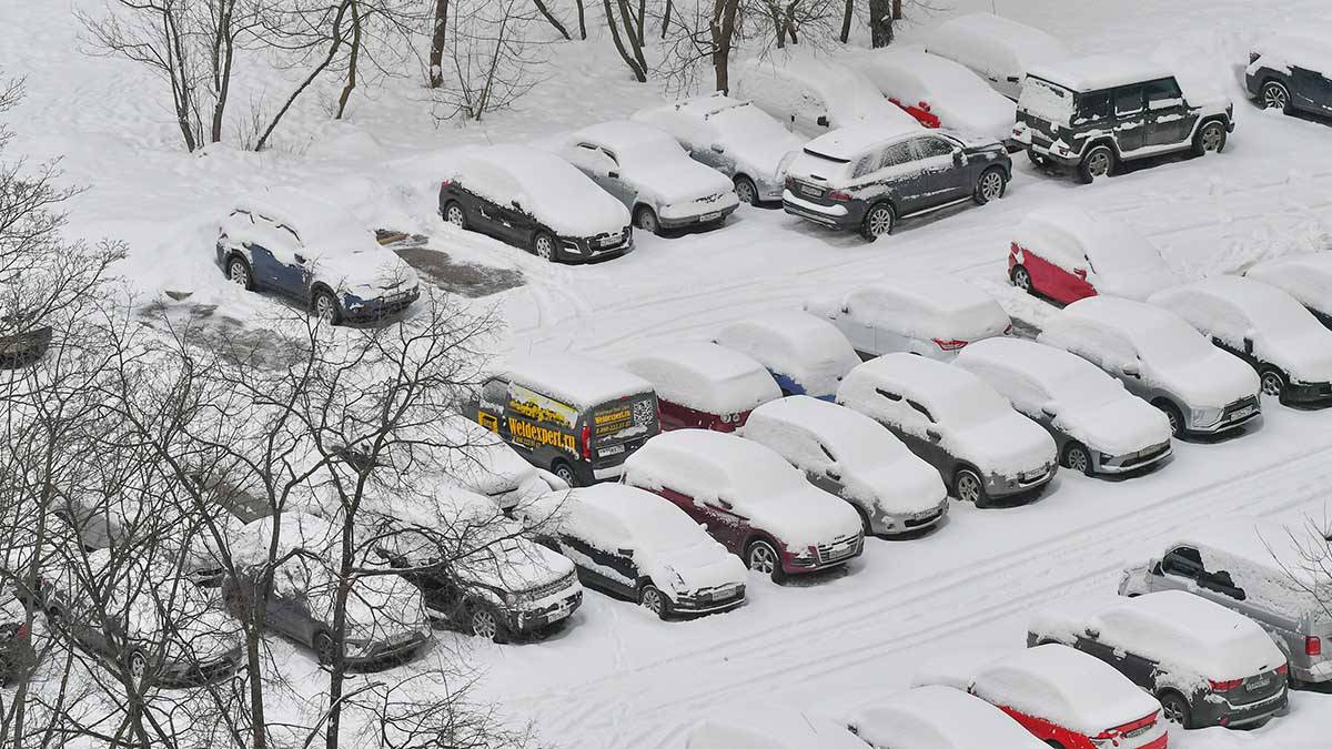 Парковка на улицах Москвы будет бесплатной 1–8 января