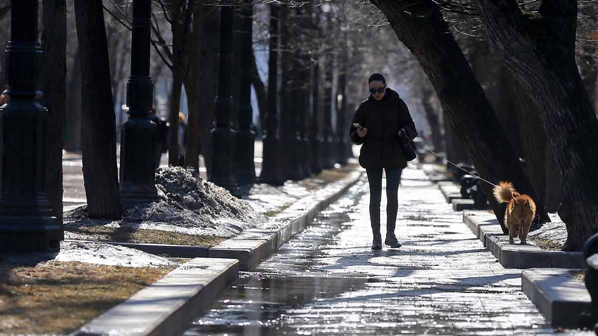 Жителям Москвы пообещали потепление до 0 градусов 25 января
