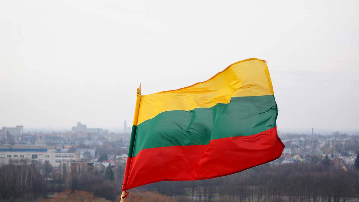 Посольство РФ потребовало разъяснений у Литвы в связи с избиением россиянина