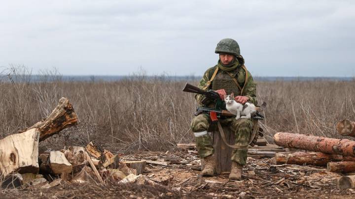 А город все равно живет...