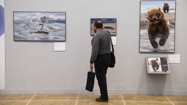 Межрегиональная культурная выставка начнется в Санкт-Петербурге 14 октября