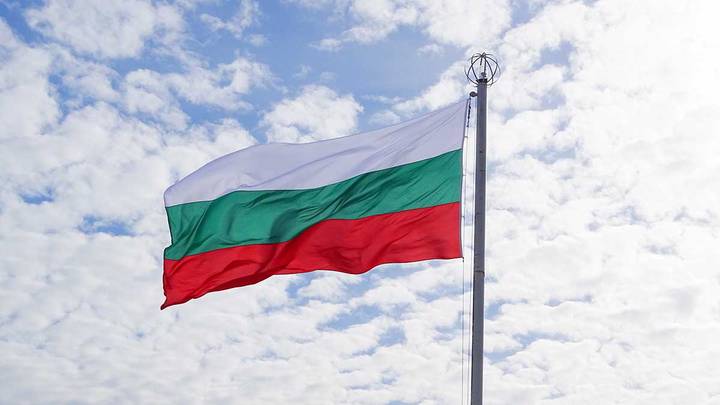 Парламент Болгарии проголосовал за создание комиссии по вопросу дефицита дров
