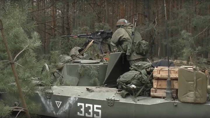 Наступает время волкодавов