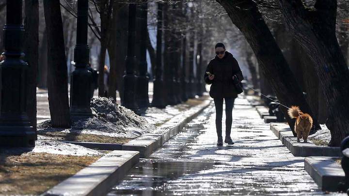 «Достигнет пика»: москвичей предупредили о высоком атмосферном давлении 18 марта