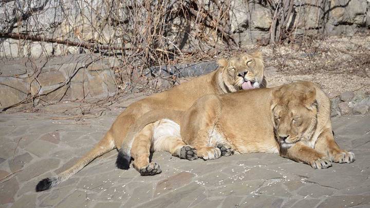 Фото: Наталья Феоктистова / Вечерняя Москва