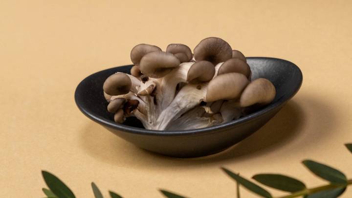 Грибной сезон открыт: чем может удивить весенний лес