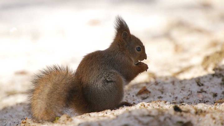 Фото: Анатолий Цымбалюк / Вечерняя Москва
