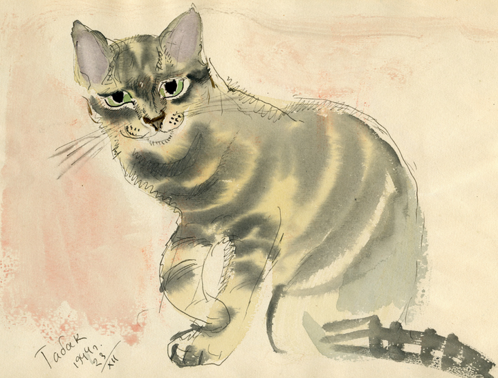 Выставка «Кошки, котики, котята» откроется в Москве 31 марта