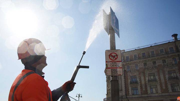 Фото: Екатерина Алексеева / Вечерняя Москва
