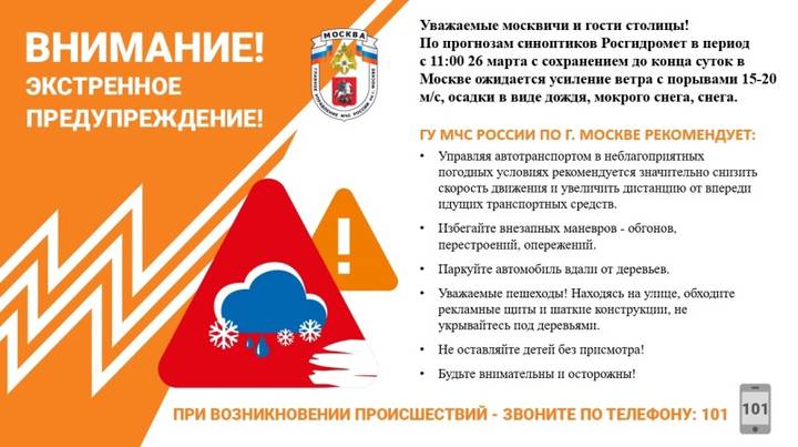 Столичное МЧС предупредило москвичей о мокром снеге и ветре с порывами до 20 метров в секунду