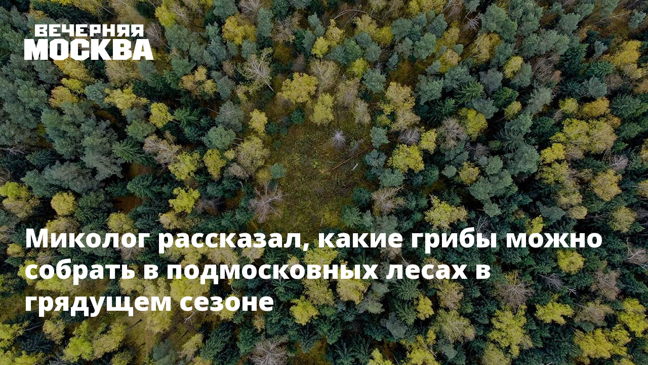 Что изучает миколог. Что изучает миколог