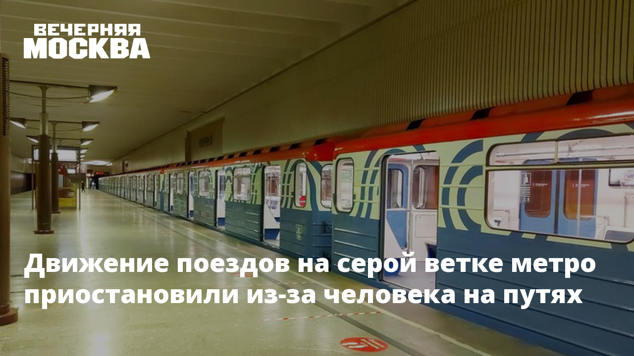 На серой ветке метро сегодня приостановлено движение. На серой ветке метро приостановлено движение. Поезда метро мира. Поезда метро на серой. Синий поезд метро.