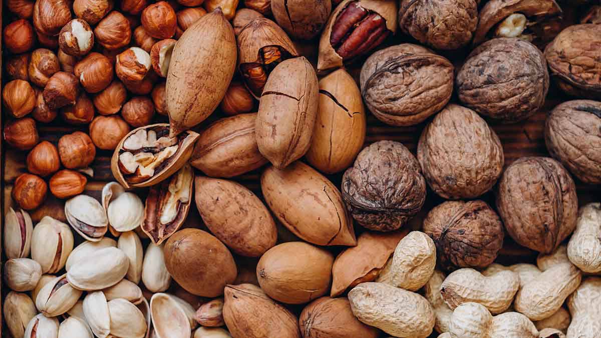 Аллергия на орехи у взрослых: симптомы, как лечить, профилактика