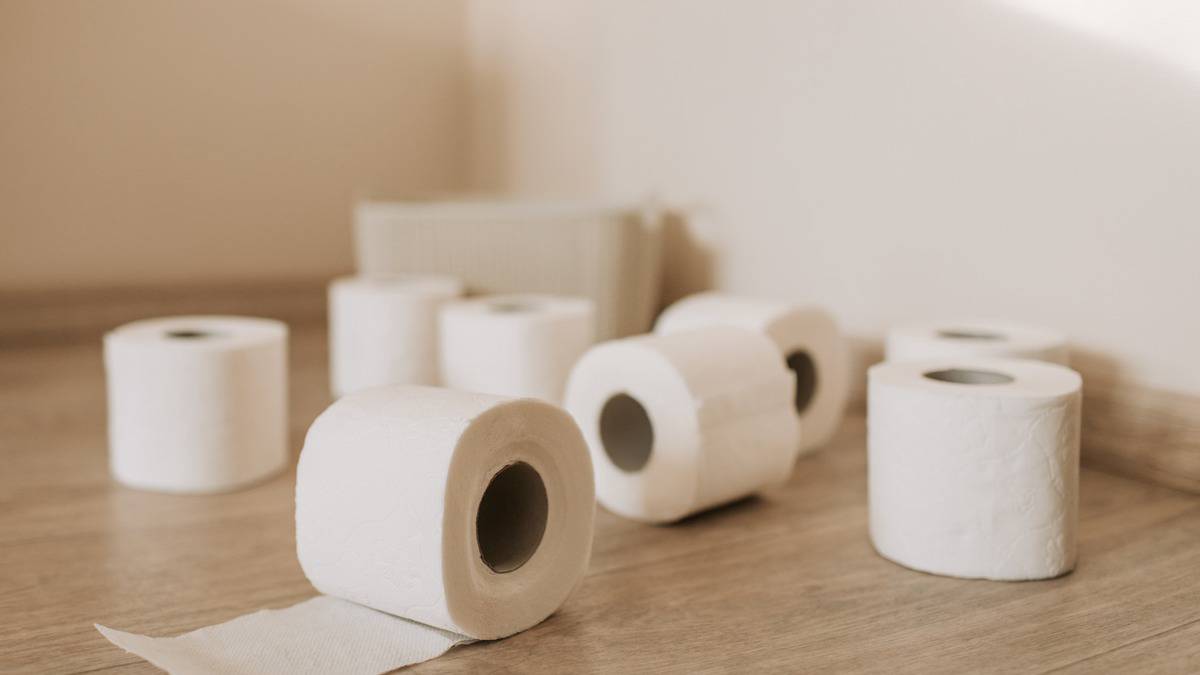 Бундесвер выставил на продажу более трех тонн туалетной бумаги