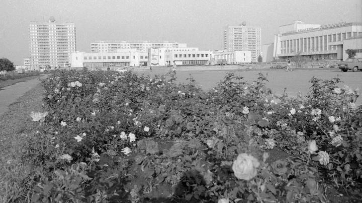 Город Припять, 1985 год / Фото: РИА Новости
