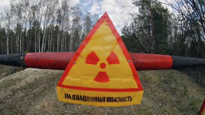 Предупреждающие знаки в 30-километровой зоне отчуждения вокруг Чернобыльской атомной электростанции / Фото: РИА Новости 