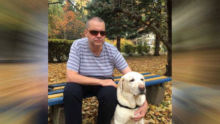 «Мы буквально доверяем им свою жизнь»: владельцы собак-поводырей — о своих помощниках