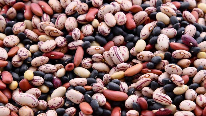 Диетологи назвали пять белковых продуктов для красивого тела