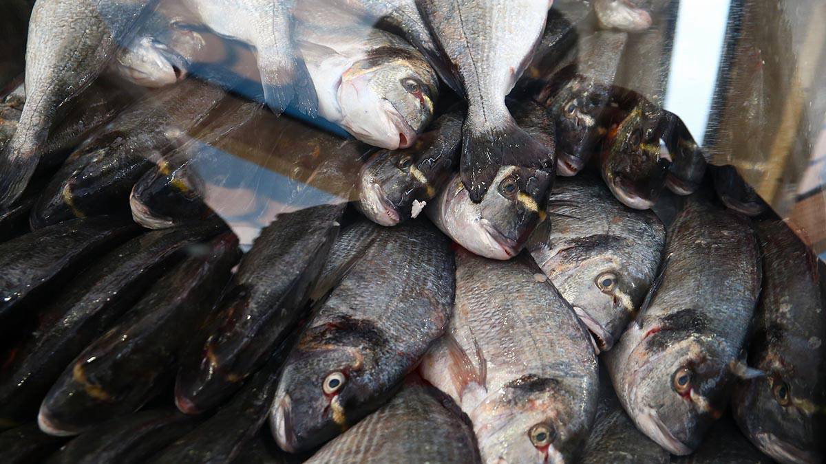 Ресторатор Миронов рассказал, какую рыбу точки общепита закупают чаще всего