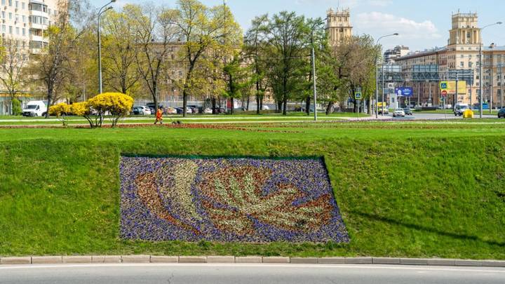 Фото: Telegram / Городское хозяйство Москвы