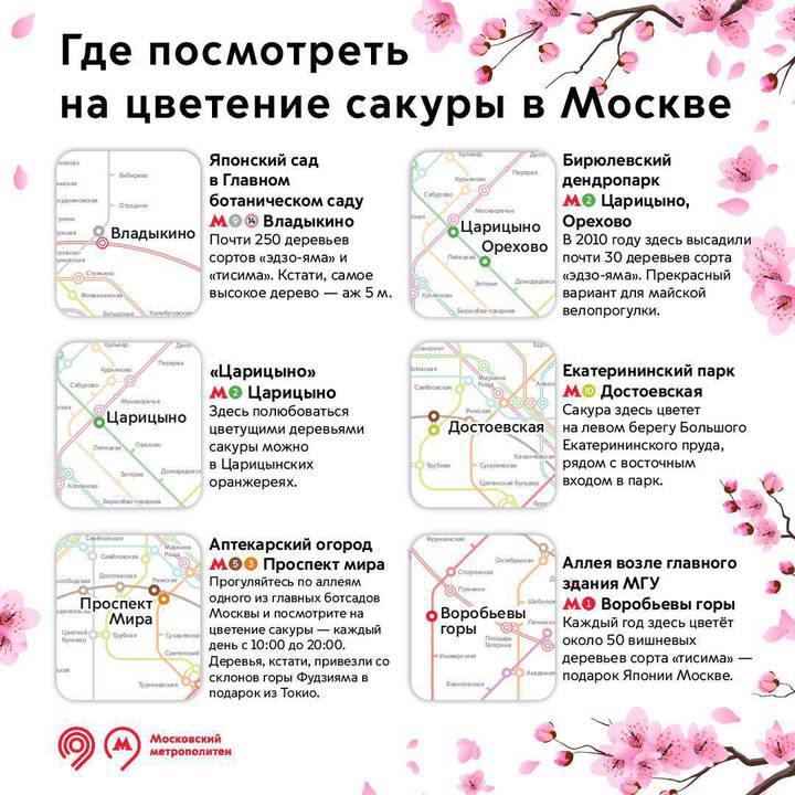 Цветение москва карта