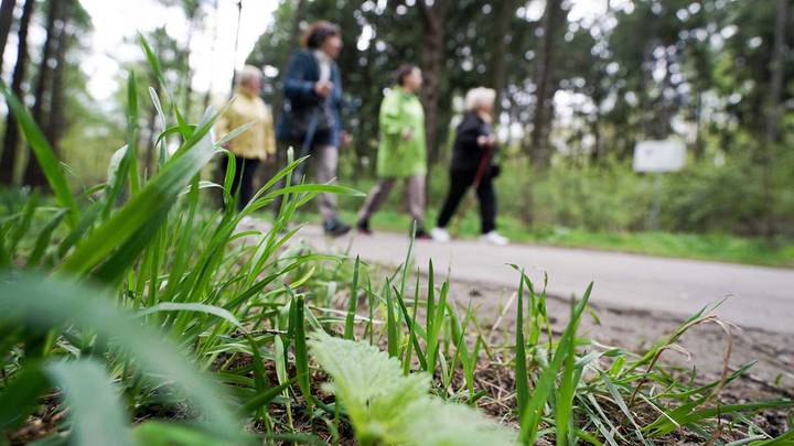 В ТиНАО до 2035 года планируется создать 86 парков