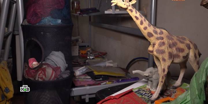 Фото: Телеканал НТВ  Фото: Телеканал НТВ