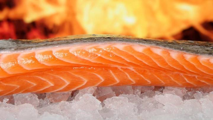 Скидки и вкусные блюда: что ждет москвичей на «Рыбной неделе»