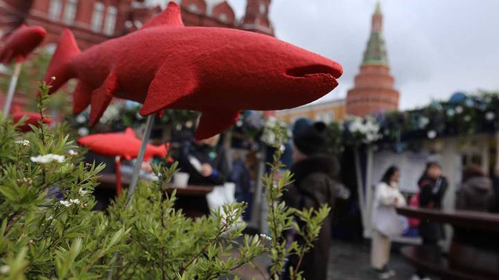 Жителям столицы рассказали о программе фестиваля «Рыбная неделя в Москве»