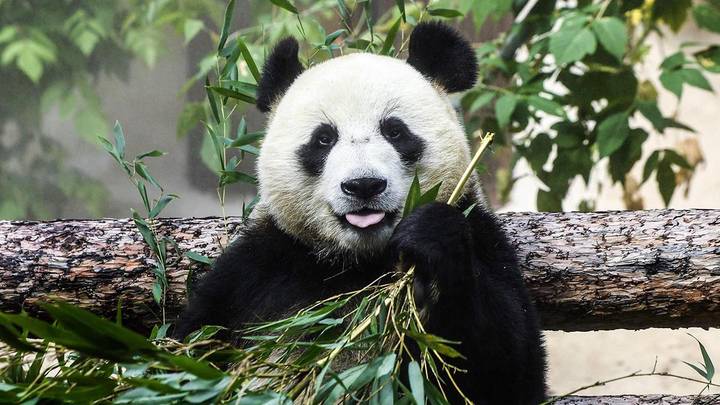 Календарь мероприятий на 1 июня 2022 в Москве