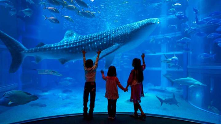 Календарь мероприятий на 1 июня 2022 в Москве