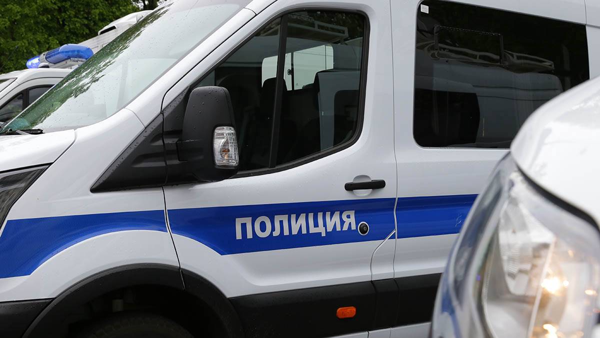 Полиция проводит проверку по факту драки в Новой Москве 