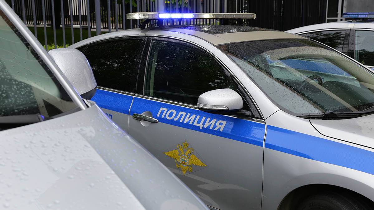 Сотрудники ГИБДД в Москве задержали водителя, перевозившего огнестрельное оружие и боеприпасы