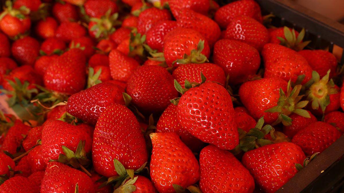 Столичные ветсанэксперты проверили более 20 тысяч тонн ягод и фруктов