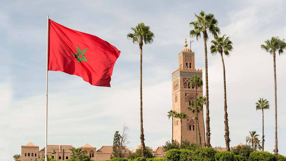Марокканские фанаты устроили погромы в Бельгии после победы сборной на ЧМ в Катаре