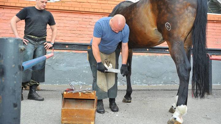 Фото: Пресс-служба МВД