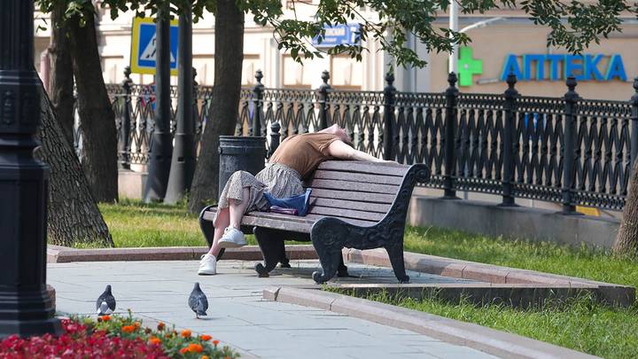 Климатолог спрогнозировал 40-градусную жару в Москве в будущие летние периоды