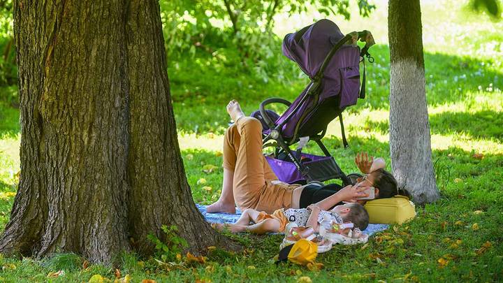 «Сухая и жаркая»: синоптики рассказали москвичам о погоде 2 июля