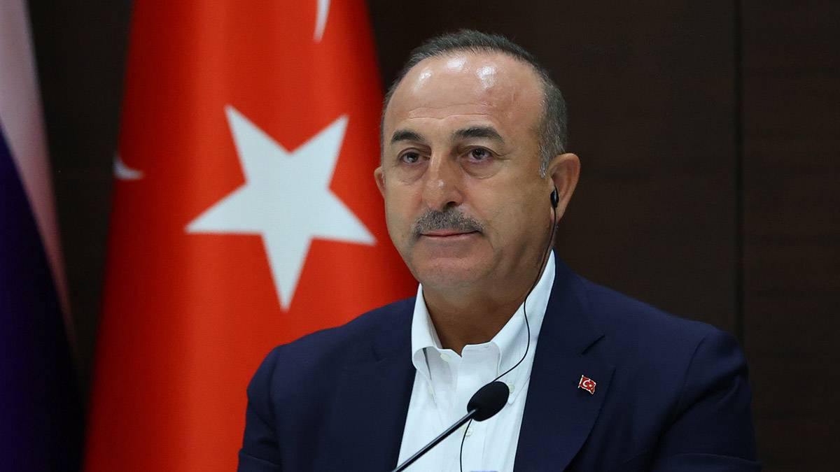 Чавушоглу: Турция выступила за отмену права вето в Совбезе ООН
