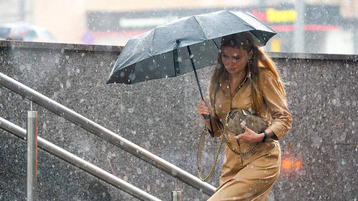 «Желтый» уровень опасности из-за дождя объявили в Московском регионе с 24 сентября