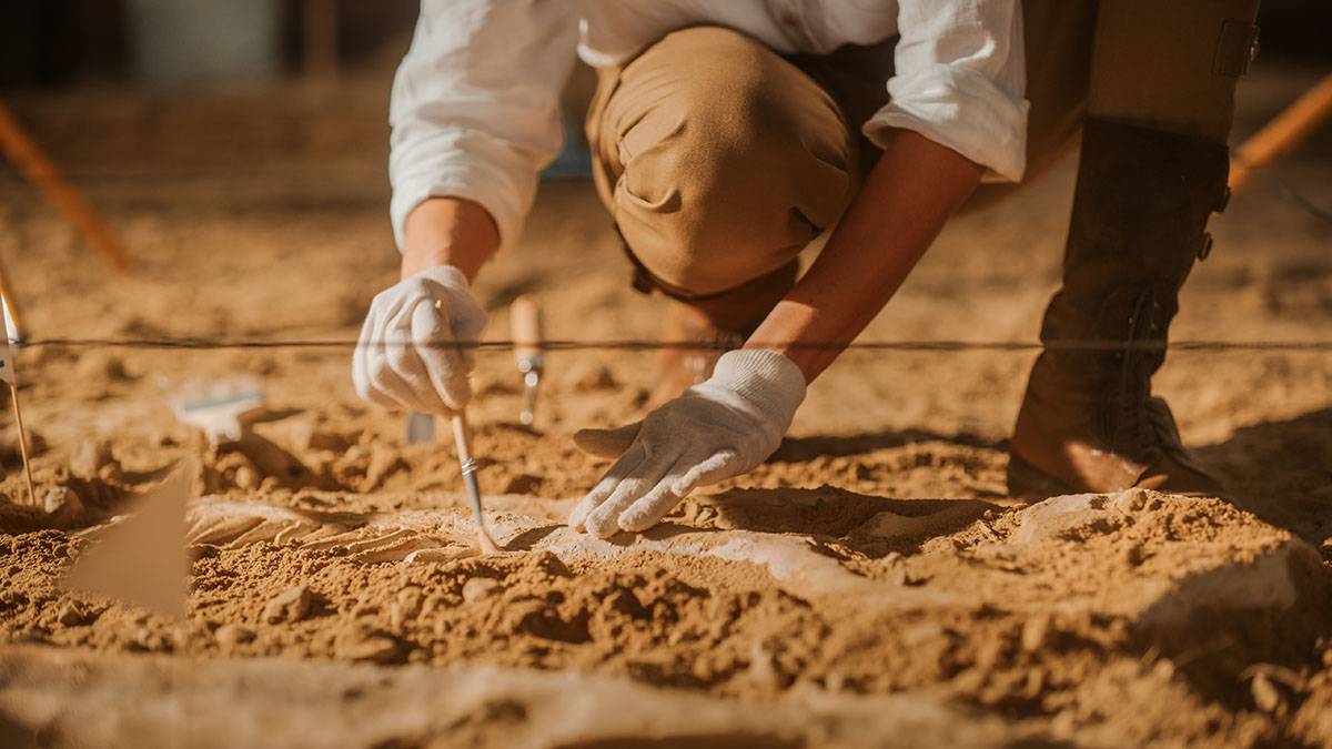 Археологи нашли древний заброшенный город на Волге