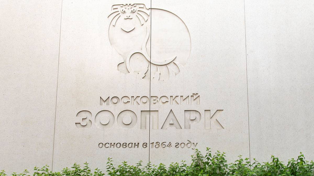 Павильон «Птицы и бабочки тропиков» в Московском зоопарке закроют на день 16 ноября