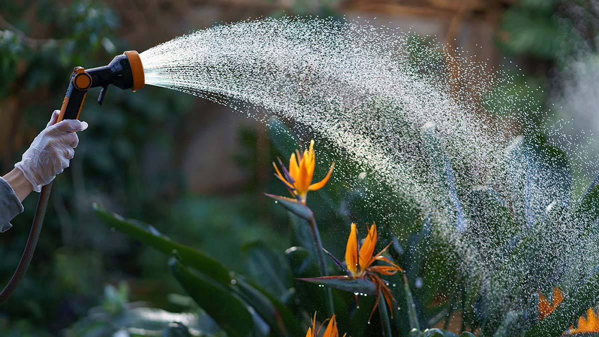 Электронный таймер и шланг с распылителем: как правильно поливать сад и огород